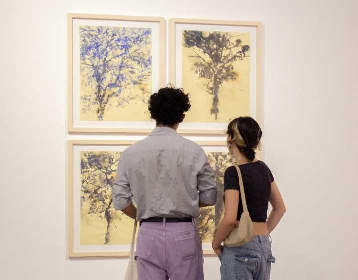 Entre raíces y billetes: El arte como retorno a lo esencial