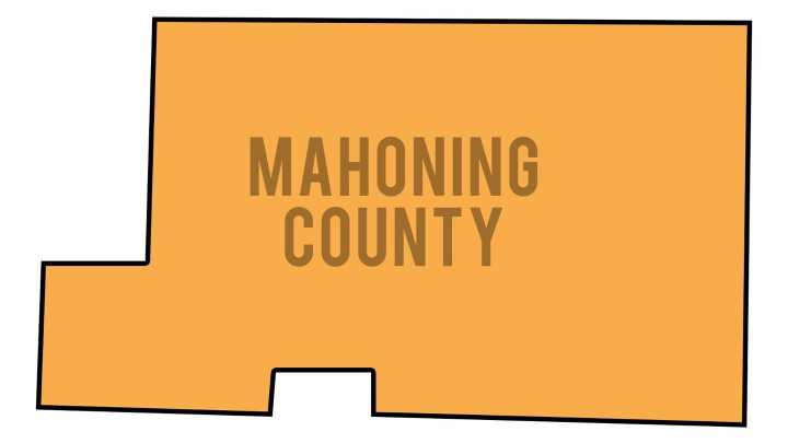 Decision 2025: Mahoning Co. voters say yes for seniors, those with disabilities