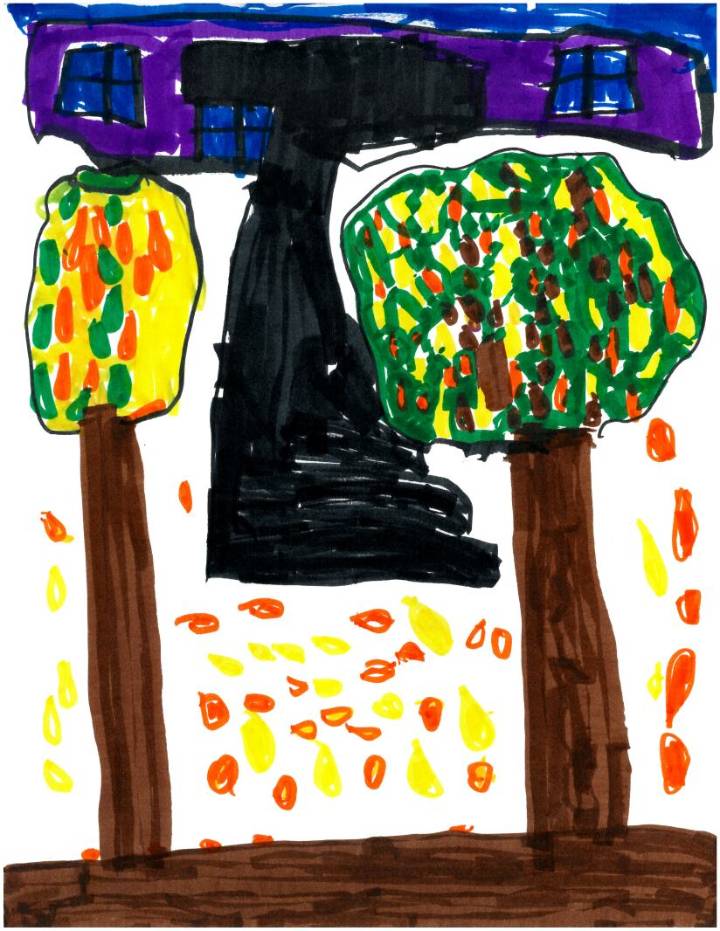 Weather Drawing: A mighty tree house