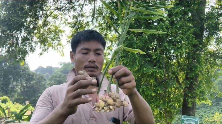 Manoj Debbarma’s mixed farming success sets example in Tripura’s Patta lands