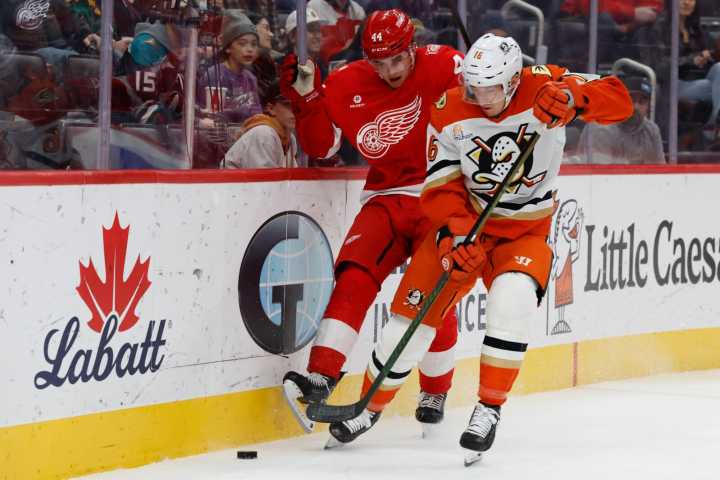 Alex DeBrincat's 3-point night powers Red Wings past Ducks - The Rink Live | Coverage of youth, junior, high school and college hockey