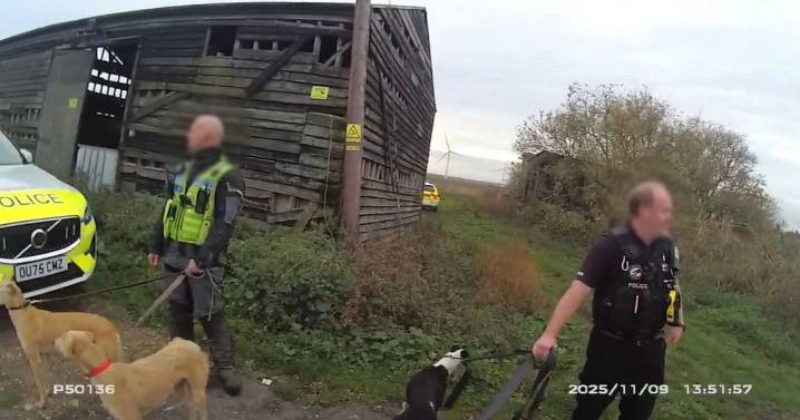 Suspected hare coursers found hiding in barn as five dogs seized