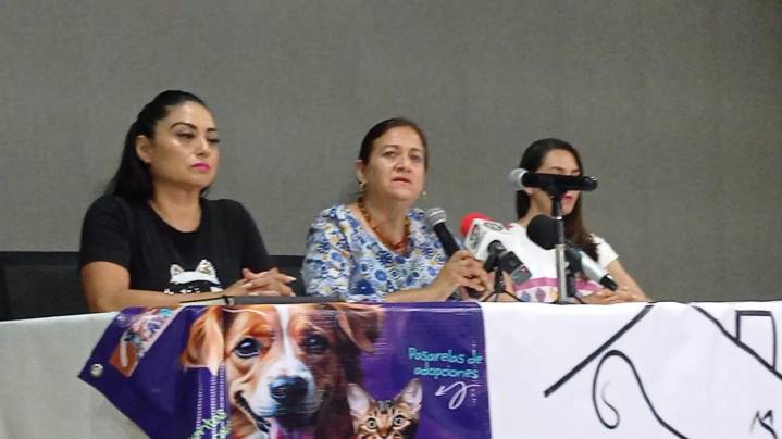 CONVOCAN al “Croquetón 2025” para apoyar a animales en situación de calle