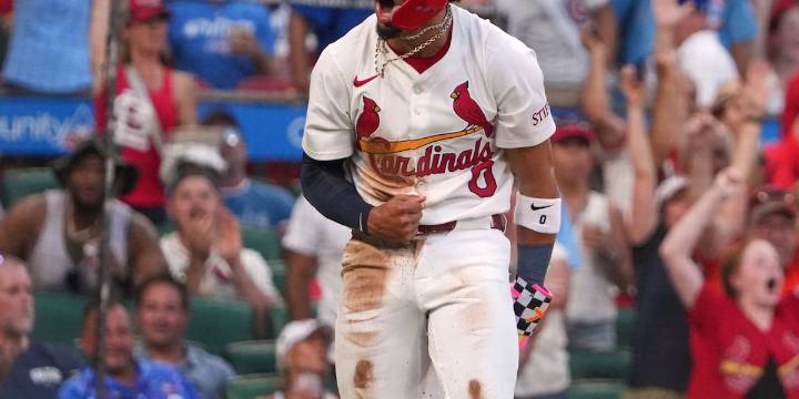 Cardinals shortstop Masyn Winn wins Gold Glove, franchise’s 100th