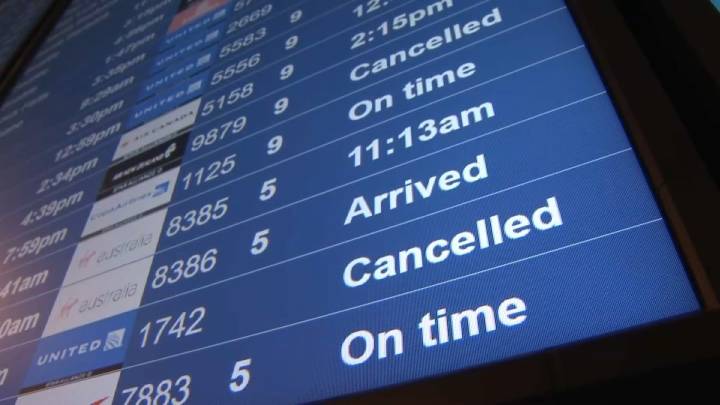 Opciones y derechos si tu vuelo se cancela debido al cierre de gobierno