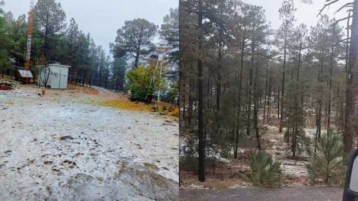 Confirman Caída de Nieve en Balleza y Madera; Viene la Primera Tormenta Invernal a Chihuahua