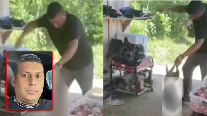 ¡Uno no sabe ni qué pensar! La insólita razón por la que dejaron libre al ‘animal’ que maltrató a un perrito