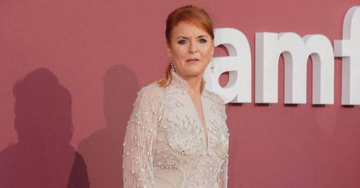 Sarah Ferguson Plotting to Write Raunchy Novels After Kid's Book Was Pulled