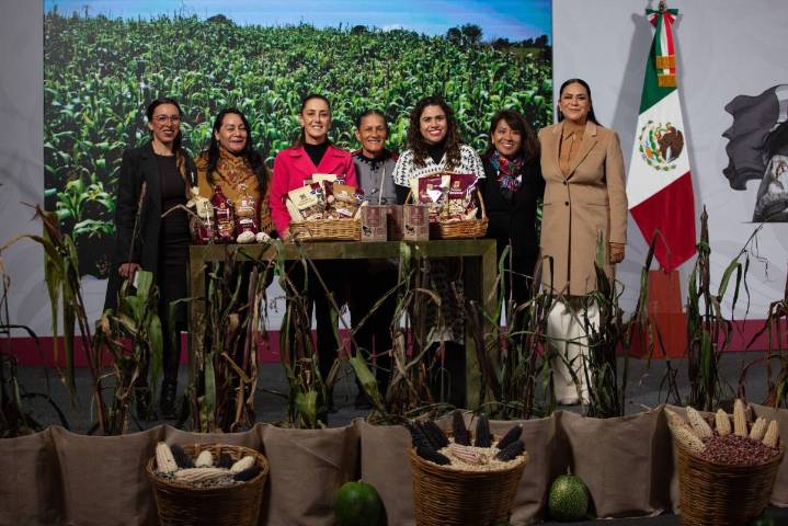 Lanza Gobierno de México plan para proteger y fortalecer el cultivo del maíz nativo