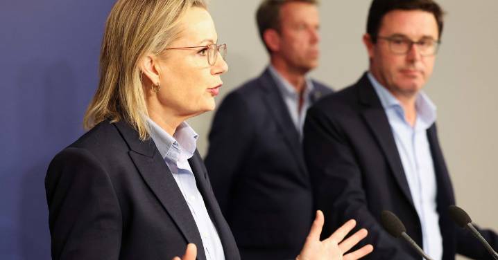 Opposition announces energy plan after net zero abandoned