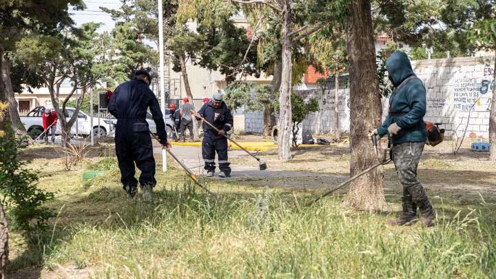 La Municipalidad acelera el mantenimiento y embellecimiento de espacios verdes