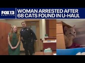 Tacoma woman charged with animal cruelty after 68 cats found in U
