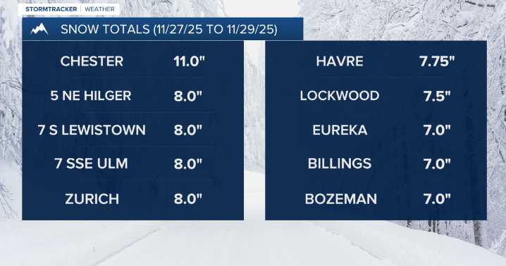 Black Friday snowstorm totals + Observed low temperatures Saturday morning