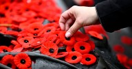 How to watch Remembrance Day 2025 live