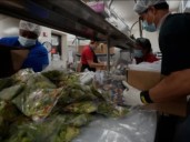 Comida gratis en California: cómo recibir asistencia social y a qué organización acudir