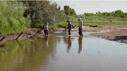 ABQ BioPark released 18,000 silvery minnows into Rio Grande