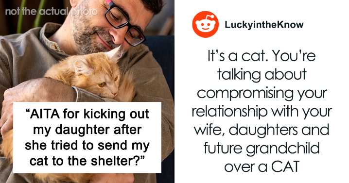Pregnant Daughter Decides To Put Dad’s Cat In A Shelter Because Of Her Baby’s Safety, Gets Kicked Out