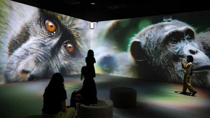 El arte también cura y transforma