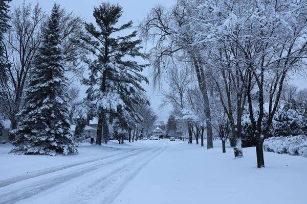 How much snow did Minnesota get?