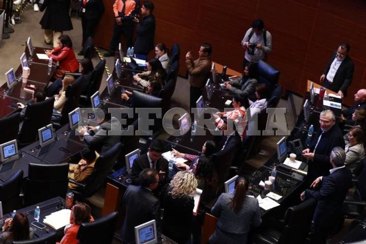 Avala Senado renuncia de Gertz por 'causa grave'