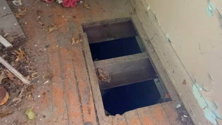 Missouri Rescuer Risks Collapse To Save Starving Dog Family From Crumbling House