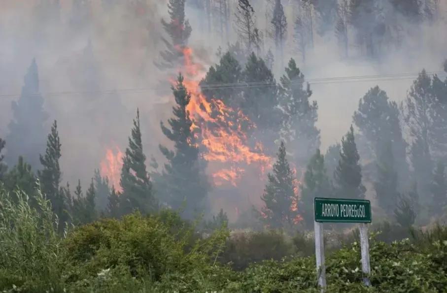 Chubut: incendio forestal en Epuyén arrasó al menos 200 hectáreas en el noroeste de la provincia