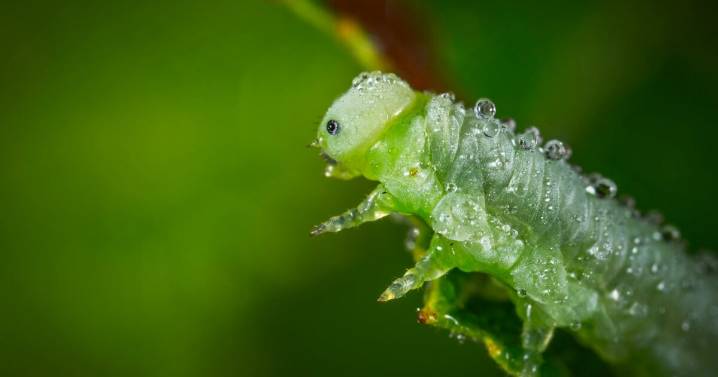 You Know More Than You Think: 27 General Science Questions To Prove It