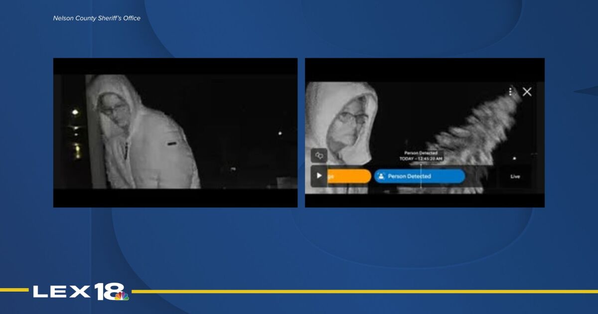 Nelson County Sheriff's Office investigating theft of Christmas decorations