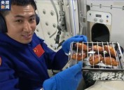 Video | Astronautas chinos hicieron el primer asado en la historia de los viajes espaciales