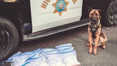 K9's first day leads to a major drug bust in Merced County