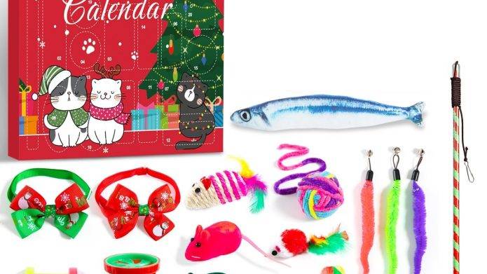 Kids & Cats Alike Are ‘Having a Blast’ Thanks to an Adorable Cat Toy Advent Calendar