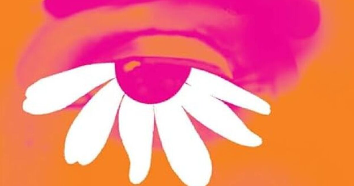 Lily King's new novel constructs an erotically charged love triangle