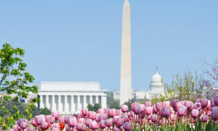 Perfection is a lie and vulnerability is the new strength