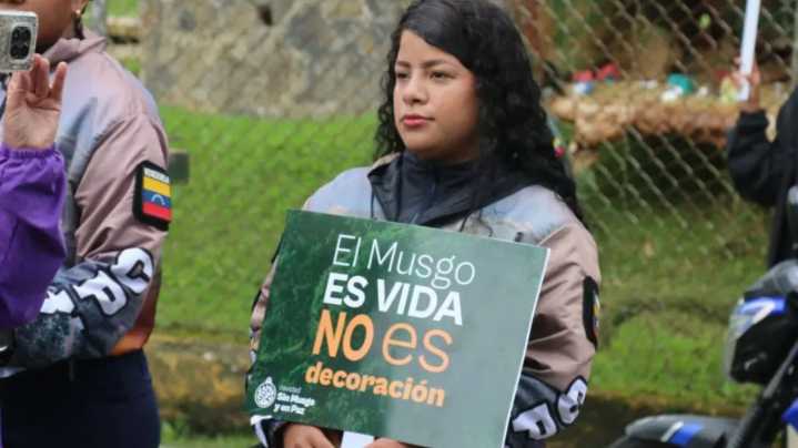 Autoridades anuncian campaña ”Navidad Sin Musgo en Paz y con Soberanía”