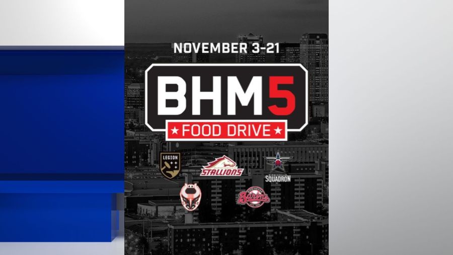 5 Birmingham minor league sports teams holding food drive