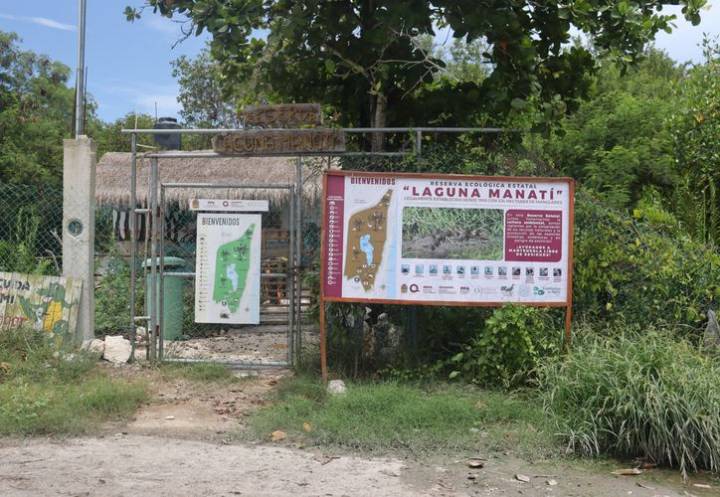 Crean página con inteligencia artificial para conocer la laguna Manatí