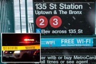 Stranger pushes good Samaritan, 56, into moving NYC train as she tries to settle fight, breaking her back: cops, sources