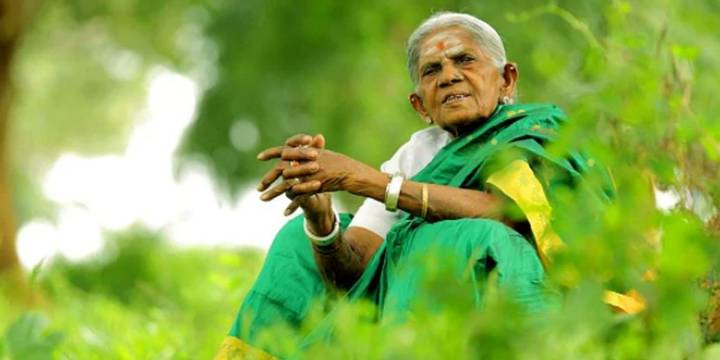 A life rooted in nurturing trees: India’s ‘tree woman’ Saalumarada Thimmakka breathes her last