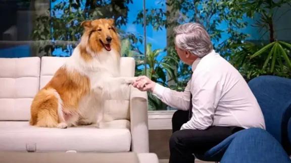 Murió Dylan, el perro de Alberto Fernández