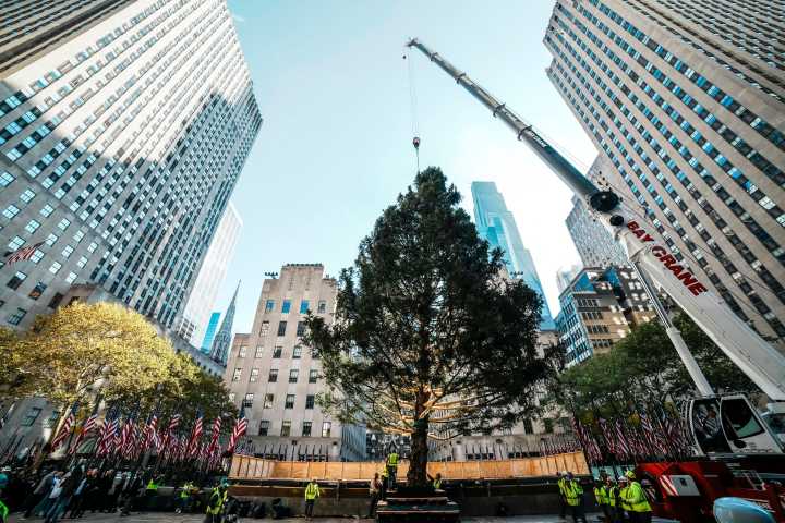 Rockefeller Christmas Tree Arrives In New York