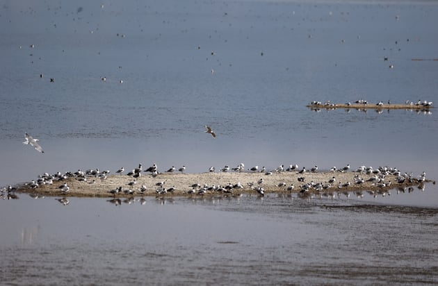 Opinion: Why fasting is a good thing for the Great Salt Lake