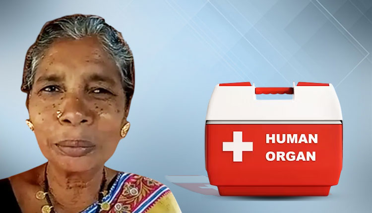 Gajapati Woman’s Noble Act in Death: Abala Pal Donates Organs, Saves Lives
