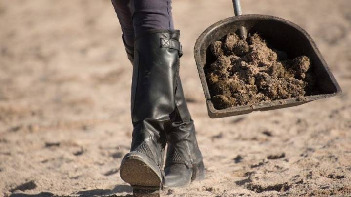 Mennonite Politician Tweets Photo of Wife Mucking the Stalls After 12