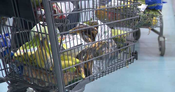 Coloradans react to federal judge's ruling to fully fund SNAP benefits by Friday