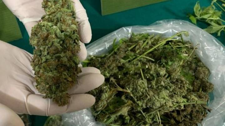 Condenados dos hombres a 22 años de prisión por tráfico de 979 gramos de marihuana en Tucupita