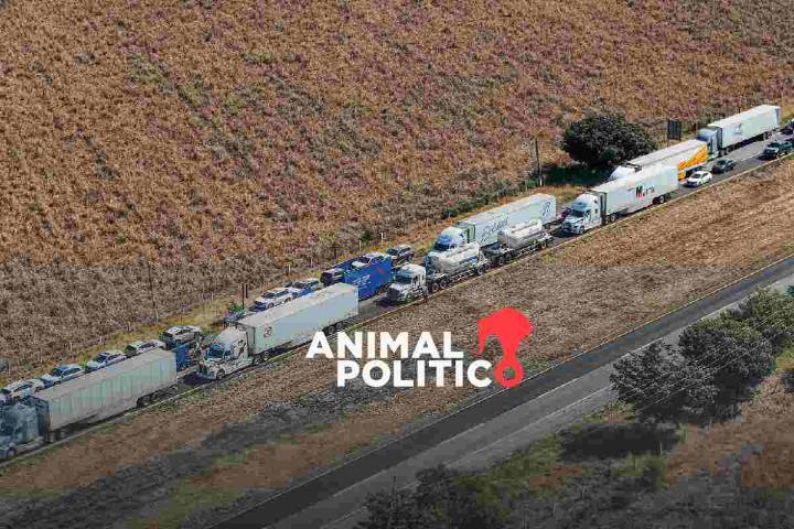 "No se puede prometer lo que no se es posible entregar": Sheinbaum por transportistas y campesinos