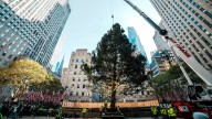 Rockefeller Center Christmas tree arrives in Manhattan, kicking off New York's holiday season