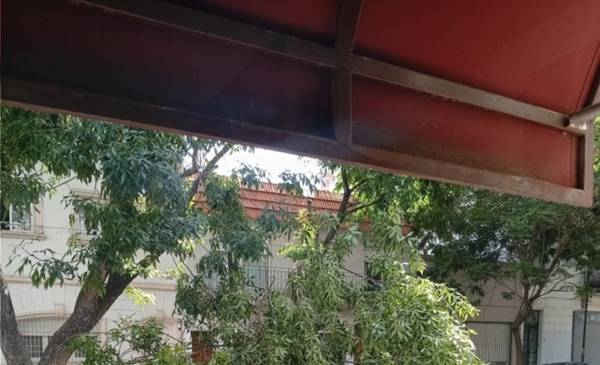 Una rama se desmoronó sobre un auto en el Centro y causó un caos vehicular