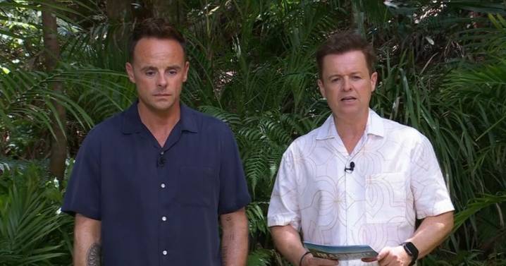 I'm a Celebrity viewers issue Ant and Dec 'warning' over new 'northern duo'