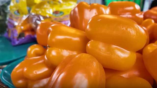 County leaders, pastors team up to protect SNAP benefits